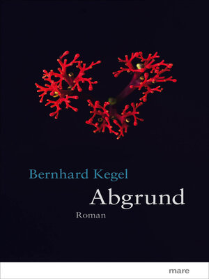 cover image of Abgrund